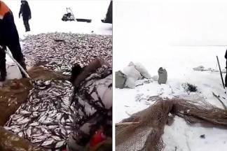 Хвастливое видео с рыбалки стало причиной внеплановой проверки
