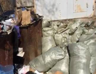 Колледж в Павлодаре наказали за неубранный мусор