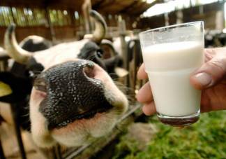 Крупную молочно-товарную ферму строят в Павлодарской области