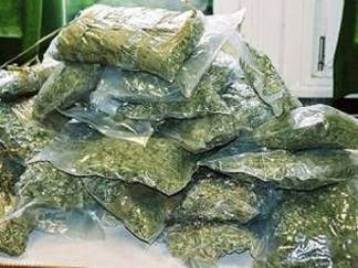 Жительница Павлодара хранила в своём доме 140 кг марихуаны