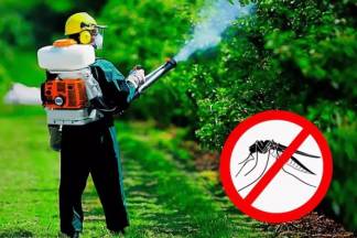 Заместитель акима области Асаин Байханов в сети Инстаграм рассказал о ситуации с потравкой комаров