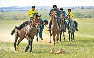 Пробный проект массового развития конных видов спорта стартует в районе Аккулы