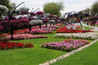 Пять миллионов тенге может выиграть лучший озеленитель Алматы