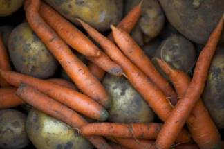 Почем свежие картофель и морковь?