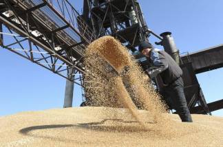 Российское зерно может обрушить рынок Казахстана. Но так ли это?