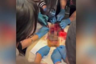 В Алматы на школьном уроке убили и расчленили морскую свинку: учитель уволилась