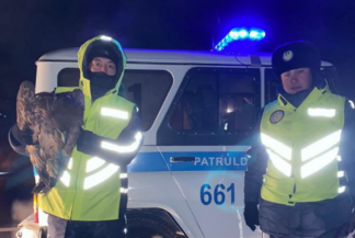 Раненого редкого орлана спасли полицейские в Павлодарской области