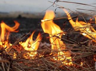 Школьники из Павлодара сожгли 12 телег сена