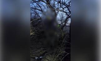 Скелет жителя Экибастуза нашли повешенным на дереве спустя год