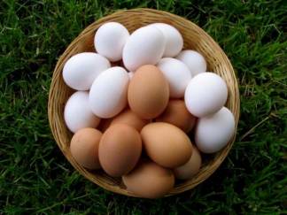 Эксперты подсчитали потребляемое казахстанцами количество яиц