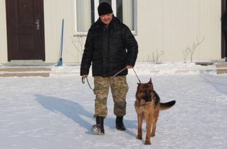Собака нашла пропавшего в Павлодаре мальчика