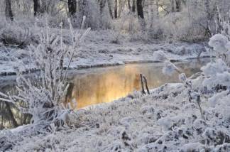 Снег и понижение температуры ожидаются в Казахстане