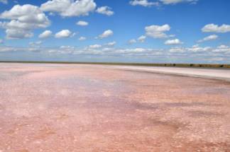 Цветные озера в Казахстане удивили астронавтов NASA