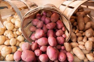 Управление предпринимательства области ответило на жалобу в соцсетях по поводу цен на картофель