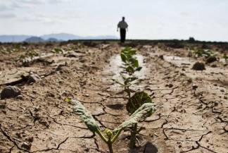 В каких областях Казахстана засуха начнется уже в июне