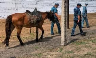 В Караганде побег из тюрьмы хотят предотвратить с помощью лошадей