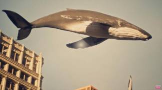 В небе – киты, на улицах – слон: Imanbek выпустил новый клип (ВИДЕО)