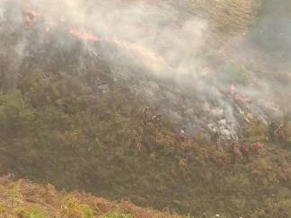 В ВКО горят четыре района: в двух из них пожар на территории лесных хозяйств