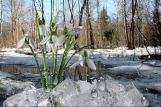 Весна придет по расписанию: какая погода ждет казахстанцев в марте
