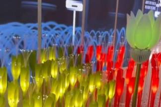 «Везде такие делают»: другой вариант тюльпанов из Актау показали на EXPO 2021