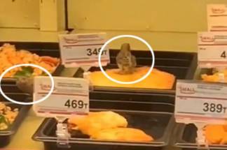 Воробьиный пир: в супермаркете птицы питаются салатами и пловом