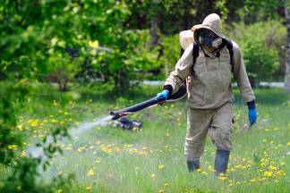 Число химбойцов в бригадах по борьбе с комарами и мошкой в Павлодаре увеличат до ста