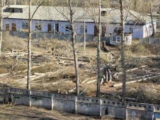 Вырубка деревьев в районе ЖД-больницы была законной