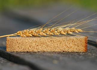 «Зерна осталось на 2—3 недели»: Казахстан может столкнуться с дефицитом хлеба